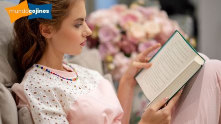 Cojines de lectura para leer en la cama